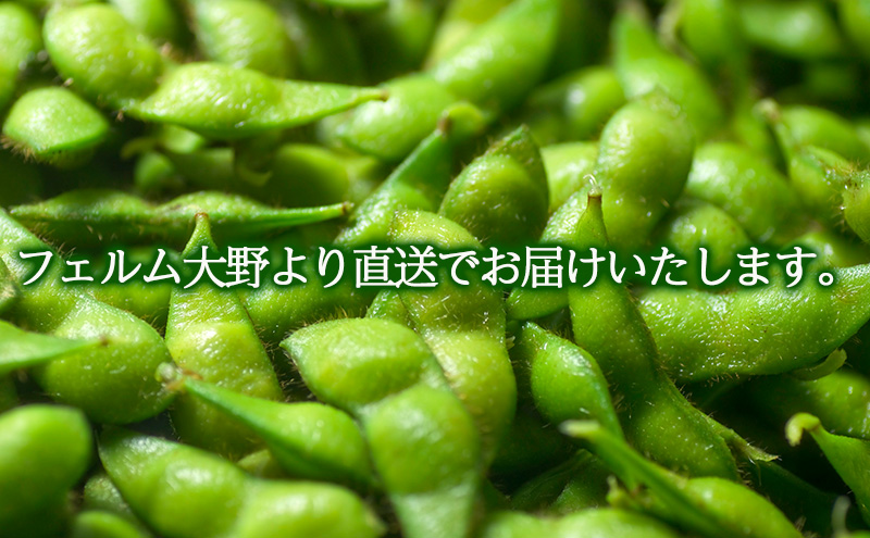 朝採り・新鮮・直送　くろさき茶豆1.5kg『7月下旬～順次発送』朝採りくろさき茶豆1.5kg 新鮮野菜 新鮮茶豆 枝豆 朝採り茶豆 国産野菜 とれたて野菜芳ばしい香り 深い甘み コク 歯ごたえ 本茶豆 ピカリ茶豆