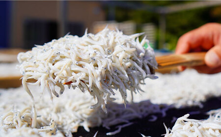 釜揚げ 湘南しらす 960g 小分け 120g×8パック【平敏丸】[AKEZ002]