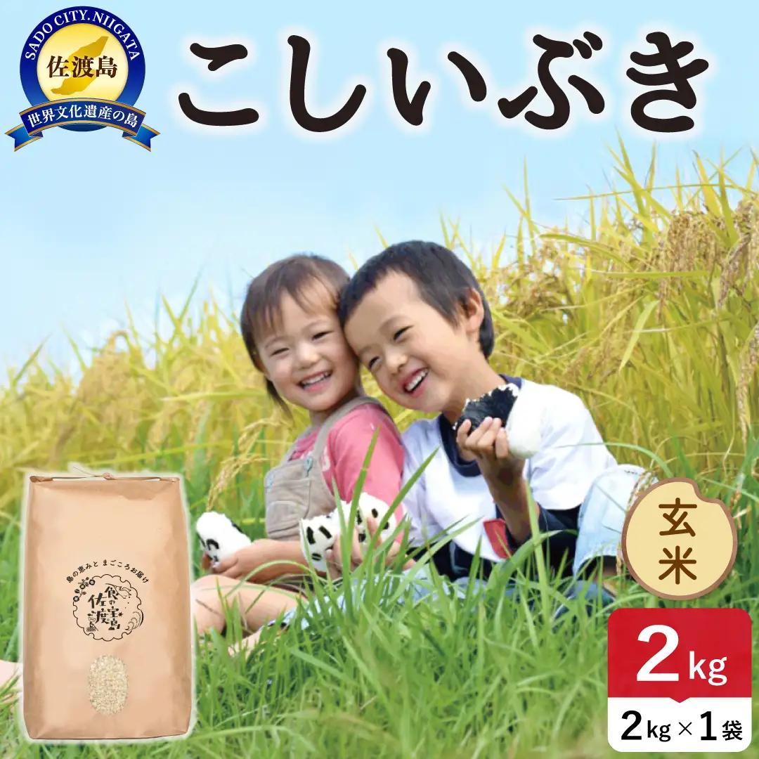 佐渡島産こしいぶき 玄米 2kg 令和8年産 農薬5割減 土屋農園 195962-054102