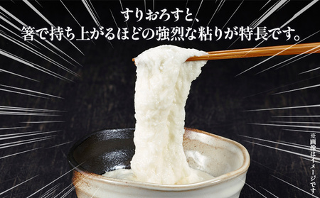 ＜自然薯 約1kg＞ 野菜 やさい 山芋 長芋 いも とろろ じねんじょ 国産 愛媛県産 とろろご飯 とろろ汁 料理 ノムランド 愛媛県 西予市【常温】『2026年1月中旬～3月末迄に順次出荷予定』N