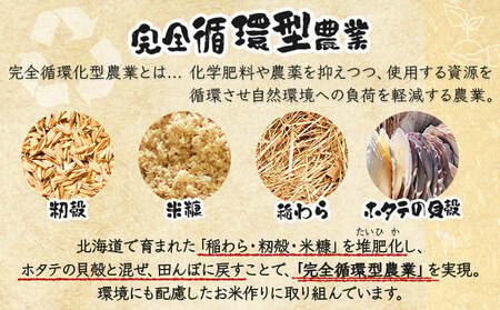 《令和 7 年産》お米 ななつぼし 10kg｜『100%自家生 産精米』善生さんの自慢の米 ※一括発送 北海道 岩見沢市 a104-115