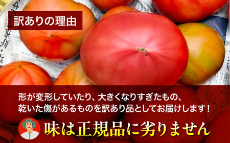 【先行予約】【4月中旬から順次発送】訳ありトマト 桃太郎ネクスト 5〜6個入り（約2kg未満） 愛媛県大洲市/にのみや農園 トマト とまと tomato 野菜 旬野菜 春夏野菜[AGDG008]