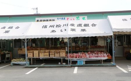 AS13-25A りんご サンふじ 越年自家用（松川町産） 約10kg ／2026年1月中旬～2月中旬頃 配送予定 // 長野県 南信州 さんふじ サンフジ ふじりんご 訳あり 訳アリ 家庭用 自家用