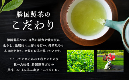 煎茶 鈴子 100g×２個セット 熨斗 のし あり お茶 贈答用 ギフト お中元 九谷つばき（のし有）