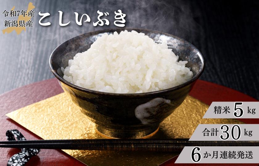 【6か月定期便】R7年産 新潟県産 こしいぶき 5kg （精米）