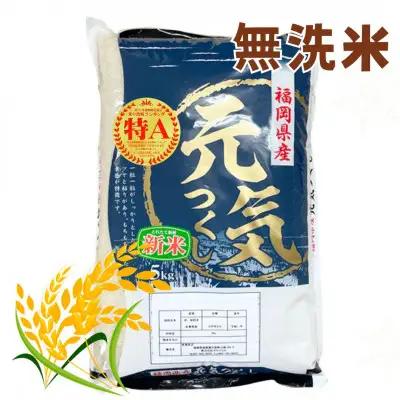＜令和7年産＞福岡県産ブランド米「元気つくし」無洗米5kg 【米 ブランド米 ブランド 白米 無洗米 元気つくし 福岡県産 グルメ 福岡県 筑前町 CE013】【価格改定X】