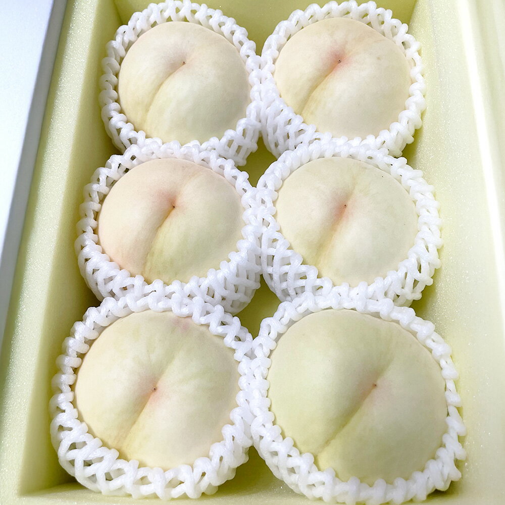 【ふるさと納税】【先行予約】希少品種の岡山の白桃 甘甘燦燦 〈選べる〉 約1.5kg箱 or 約2kg箱 桃 モモ ピーチ 果物 フルーツ おやつ デザート お取り寄せ 岡山県 美咲町 冷蔵 送料無料【2025年9月発送予定】
