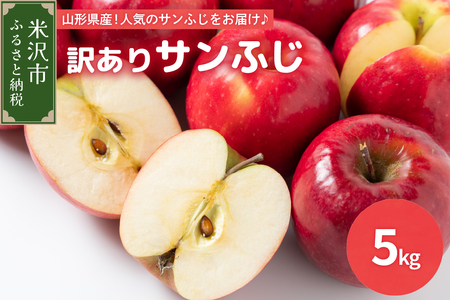 《 先行予約 》【 令和6年産 】 訳あり りんご ( サンふじ )　5kg 〔 2024年11月中下旬頃 ～ お届け 〕 家庭用 キズ等 2024年産