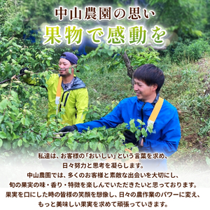 【期間限定・2026/4/30まで】中山農園の南高梅　青梅1kg※2026年5月下旬から順次発送予定※ / 紀州南高梅 梅シロップ 梅ジュース 梅酒 和歌山県 【nak016-1】