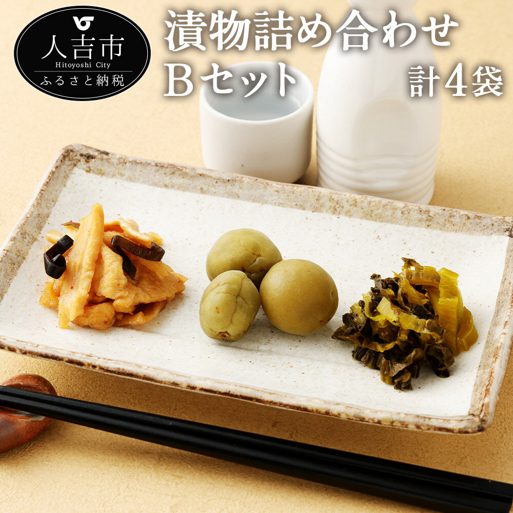 【ふるさと納税】永尾商店 漬物詰め合せ Bセット 漬物 詰め合わせ セット 高菜 人吉割干漬 つけもの 和食 送料無料