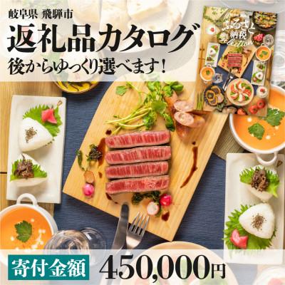 ふるさと納税 飛騨市 後からゆっくり返礼品を選べる♪ 　飛騨市 ふるさと納税 返礼品 カタログ 寄付金額45万円