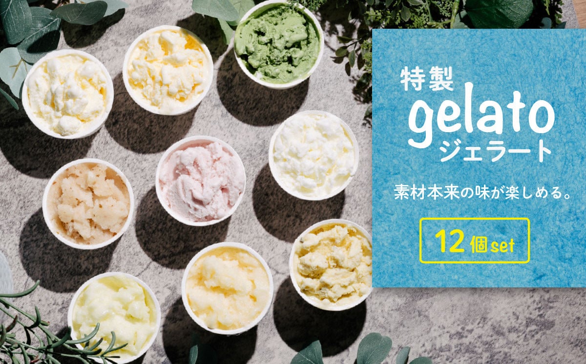 
            特製ジェラート 12個入り【 アイス ジェラート アイスクリーム デザート 夏 冷たい スイーツ ご当地 おまかせ 人気スイーツ 秋 バニラ 和梨 いちごミルク スイーツ 焼き芋 さしま茶 スイーツ メロン 梅 紫煌 酒 栗 スイーツ 詰め合わせ カップ 子供 スイーツ セット 冬 フレーバー 季節 冷凍 スイーツ 】[SZR]
          