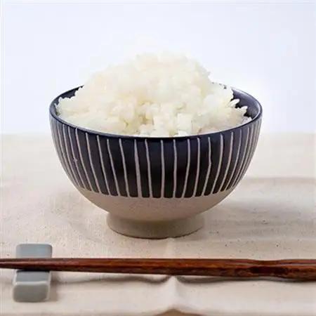令和8年産　キヌヒカリ 10kg【1431744】