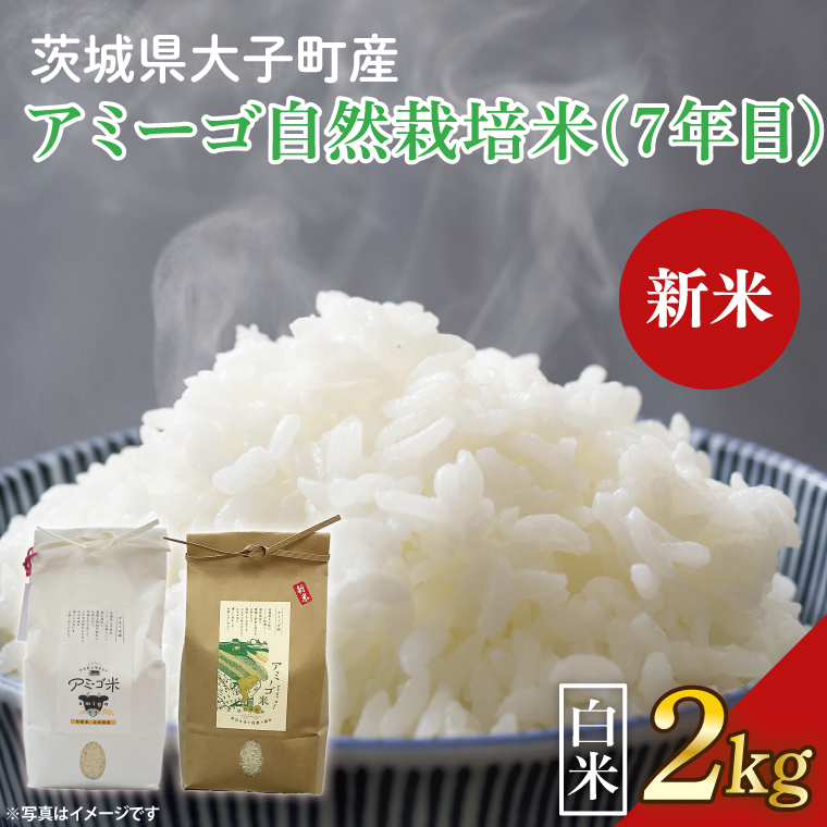 【新米先行予約】【2025年11月中旬頃順次発送予定】令和7年産 新米 2kg アミーゴ米 【白米】（コシヒカリ・自然栽培米（７年目）・天日干し米）｜茨城県 大子町 袋田 米 精米 おだがけ米 はざがけ米 いねかけ米 先行予約 農福連携 コシヒカリ 白米（CA011）