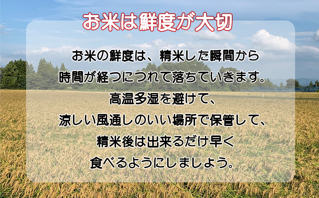 令和7年産花巻産銀河のしずく 5㎏ 【2369】