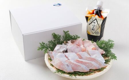 近大クエ鍋セット ( 500g ）こだわりだしぽん酢付き【2025年11月下旬～12月中旬発送】 / クエ くえ 鍋セット ｸｴ クエ鍋　近大クエ 鍋 魚 高級魚 【akd501-1】 