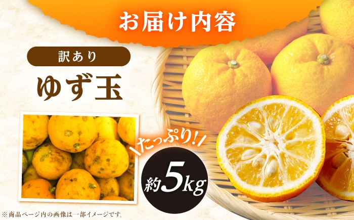 柚子 ゆず 訳あり 家庭用 果物 くだもの フルーツ 柑橘 柑橘系 薬味 新鮮 丸ごと ゆべし 柚子湯 ゆず湯 産地直送