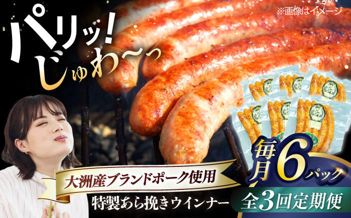 【全3回定期便】秒でプラスもう一品！ブランドポーク『オズの箱入り娘』使用！特製ウインナー（5本入り）×6袋 合計720g 豚肉 小分け ベーコン プレゼント 愛媛県大洲市/株式会社オズメッセ [AGAZ076]