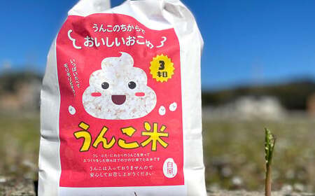 うんこ米 精白米 3kg ／  夢つくし 白米 無洗米 米 お米 国産 福岡県産 令和6年産