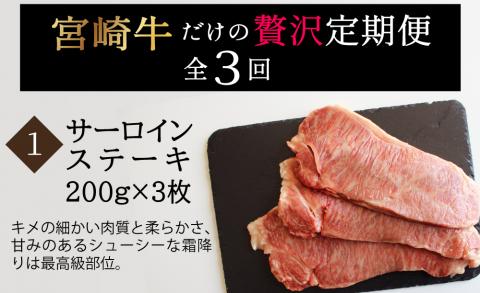 3回 定期便 宮崎牛 ステーキ 3ヶ月 コース 合計 2kg [SHINGAKI 宮崎県 美郷町 31ag0084] 牛肉 宮崎牛 サーロイン もも リブロースステーキ 黒毛 和牛 国産 宮崎 A4 