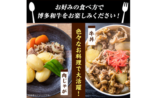 博多和牛切り落とし 1000g (500ｇ×2パック)《30日以内に出荷予定(土日祝除く)》 博多和牛 牛肉 A4ランク---sc_fmphwgkiri_30d_23_14000_1000g---