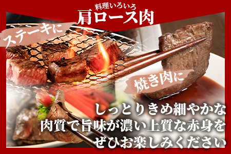 ＜国富町産宮崎牛　赤身肉3種セット900g（サイコロ・焼肉・スライス各300g）＞1ヵ月以内に出荷【 肉 牛肉 精肉 赤身 サイコロステーキ ステーキ 焼肉 焼き肉 ロース スライス ジューシー 贈答