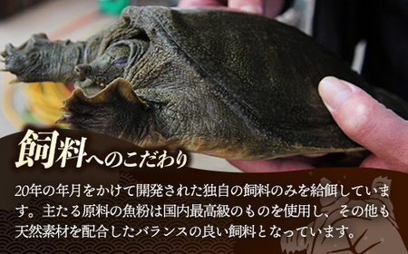美味益気寿すっぽんスープ190g【60缶】 スッポン 化学調味料不使用 使いやすい ストック 岩手県 岩手町 イワタニ