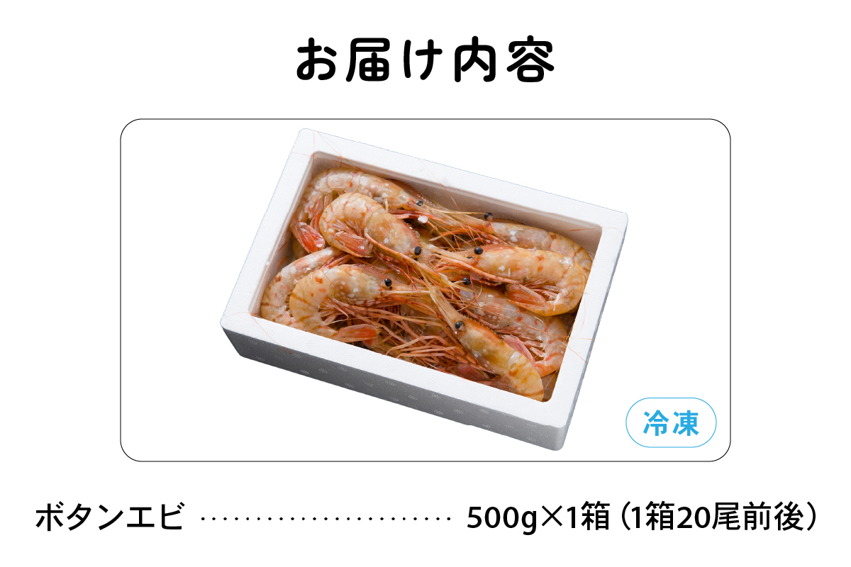 北海道留萌産　漁師採りたてボタンエビ500g _イメージ3
