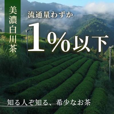ふるさと納税 東白川村 栽培期間中 農薬不使用! 煎茶 ギフト NO.10 (ずいうん 150g×2本) 常磐園 日本茶 |  | 01