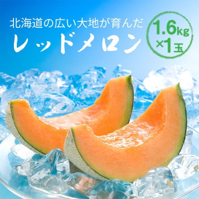 【先行受付】2026年産 北海道赤肉メロン (約1.6kg×1玉)_05410【1672610】