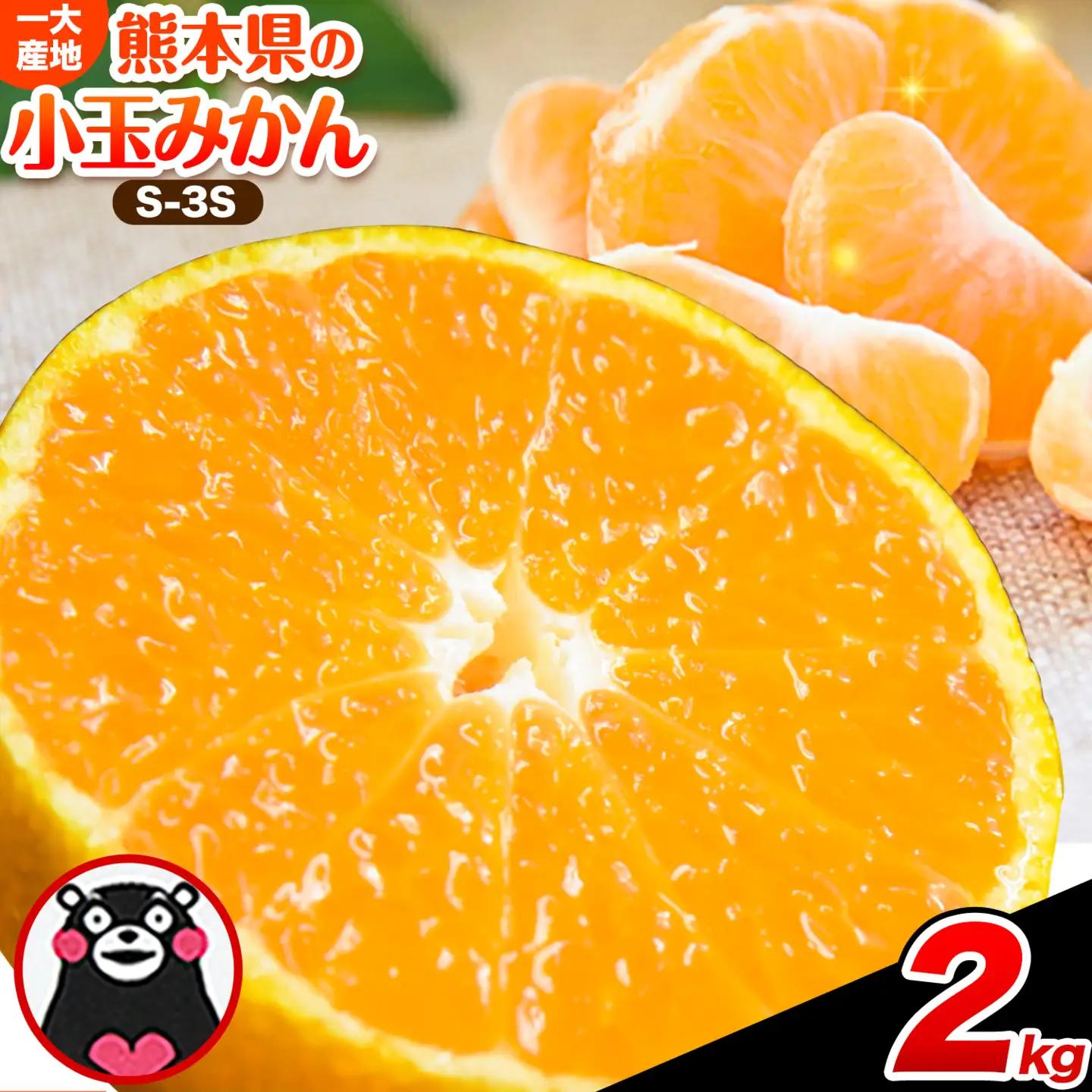  訳あり 小玉みかん 2kg  秋 旬 不揃い 傷 ご家庭用 SDGs  たっぷり 熊本県 産 S-3Sサイズ フルーツ 柑橘 《9月下旬-12月下旬頃出荷》