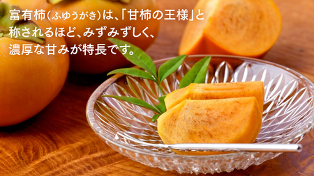 富有柿 10kg （約30～42個）【2025年11月より発送開始】（茨城県共通返礼品 [柿]：大子町産） かき 旬 お取り寄せ フルーツ 甘い 秋の味覚