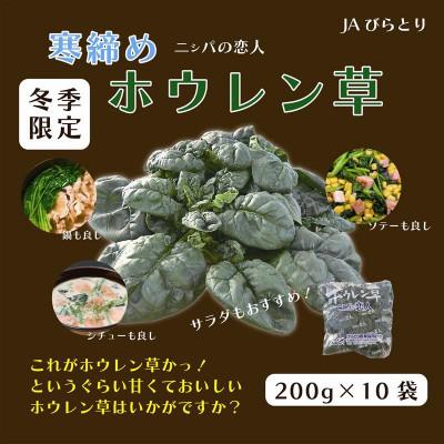 ふるさと納税 平取町 【先行予約/2026年12月上旬以降発送】【北海道平取町産】寒締めホウレン草(ちぢみホウレン草)