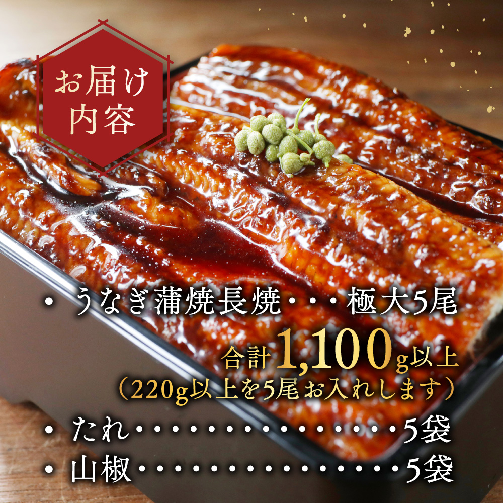 （6月）国産 極大 特上うなぎ(220g×5尾)【OT000OD50_006】_イメージ5
