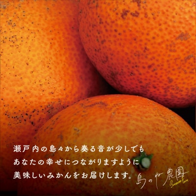 【訳あり】島のね農園まどんな(4kg) 【K001630】