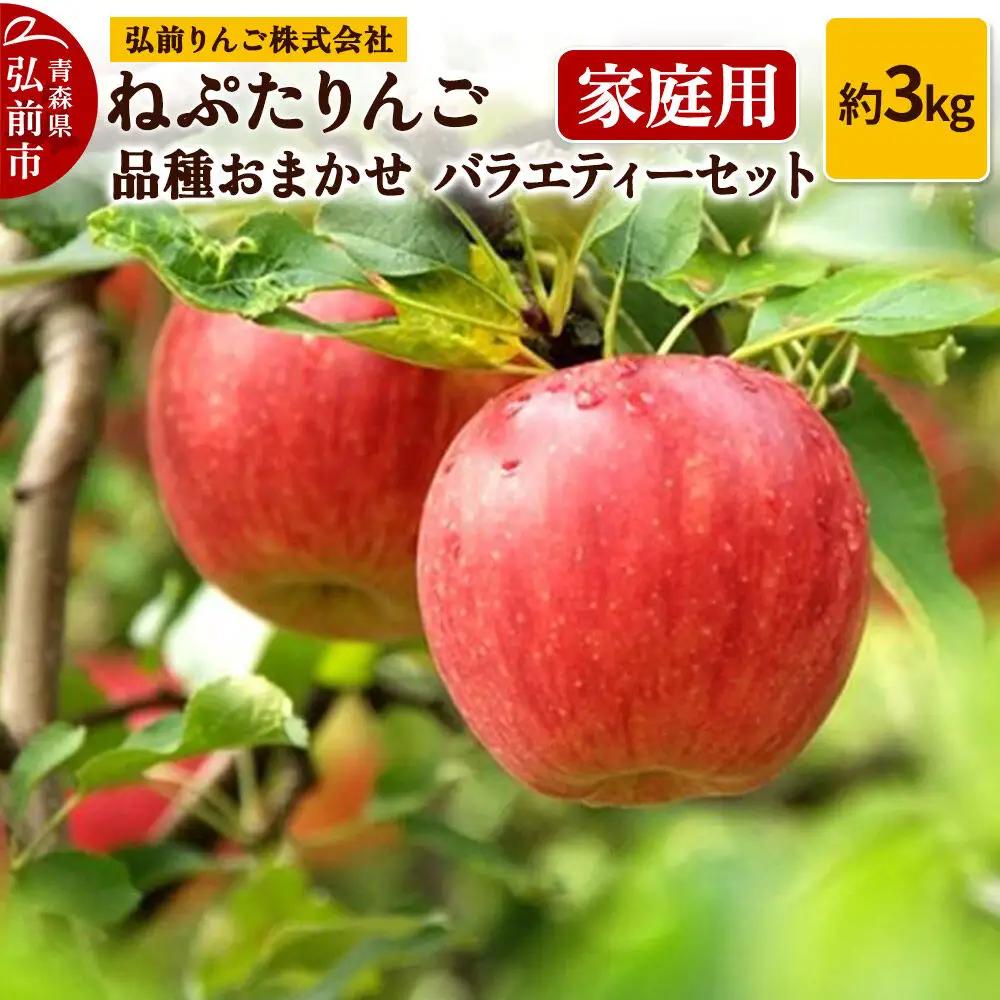 りんご ねぷたりんご バラエティーセット 家庭用 約3kg 先行受付 9月発送