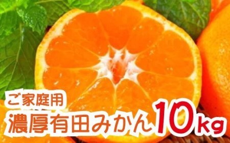 ＜11月上旬～＞農園直送!完熟有田みかん【サイズ混合】10kg ※2024年11月上旬～11月下旬頃に順次発送予定　※北海道・沖縄・離島配送不可【ard004B-1】