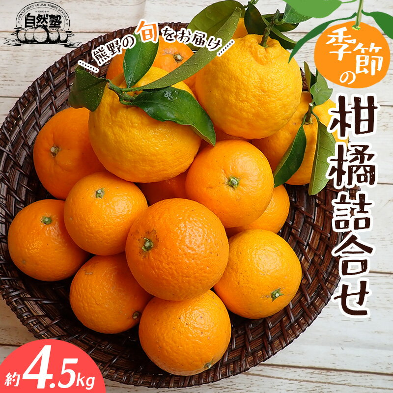 【ふるさと納税】 みかん 季節の柑橘 詰合せ 約4.5kg みかん ミカン 温州みかん フルーツ 果物 くだもの 柑橘 不知火 せとか 果物セット フルーツセット 甘い 濃厚 産地直送 数量限定 人気 国産 三重県 熊野市 送料無料