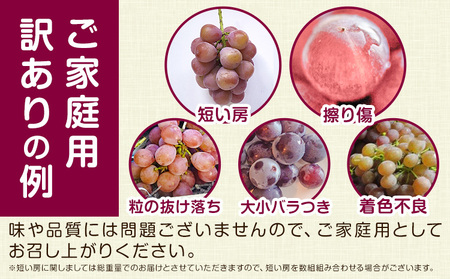 デラウェア ご家庭用デラウェア 約1.5kg