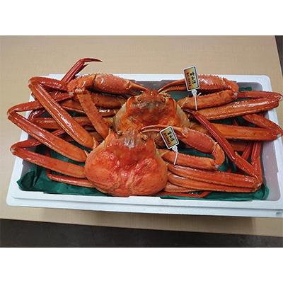 ふるさと納税 射水市 【おすすめ】新湊産紅ズワイガニ約800g×2尾(孫七タグ付) |  | 01