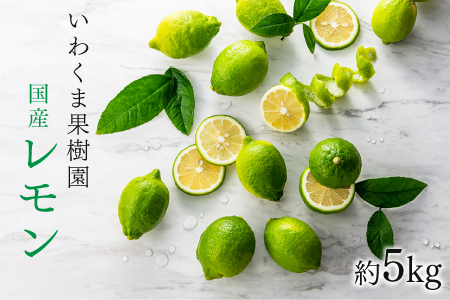 AA079.貴重な国産レモン.約5kg.新宮町産の逸品です／2026年9月～2027年2月発送予定
