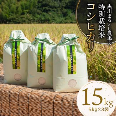 ふるさと納税 鶴岡市 【令和6年産米】黒川まるいし農場のコシヒカリ 精米 15kg(5kg×3袋)　K-696 | 