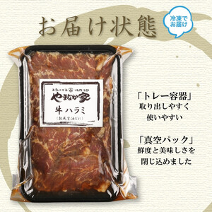 やまなか家　旨みたっぷり牛ハラミ【熟成醤油だれ】600g(K2-028)   岩手県 北上市 D0361 （KYフーズ)  肉 牛肉 牛ハラミ 肉厚 人気 肉 牛肉 牛ハラミ 肉厚 人気 肉 牛肉 牛
