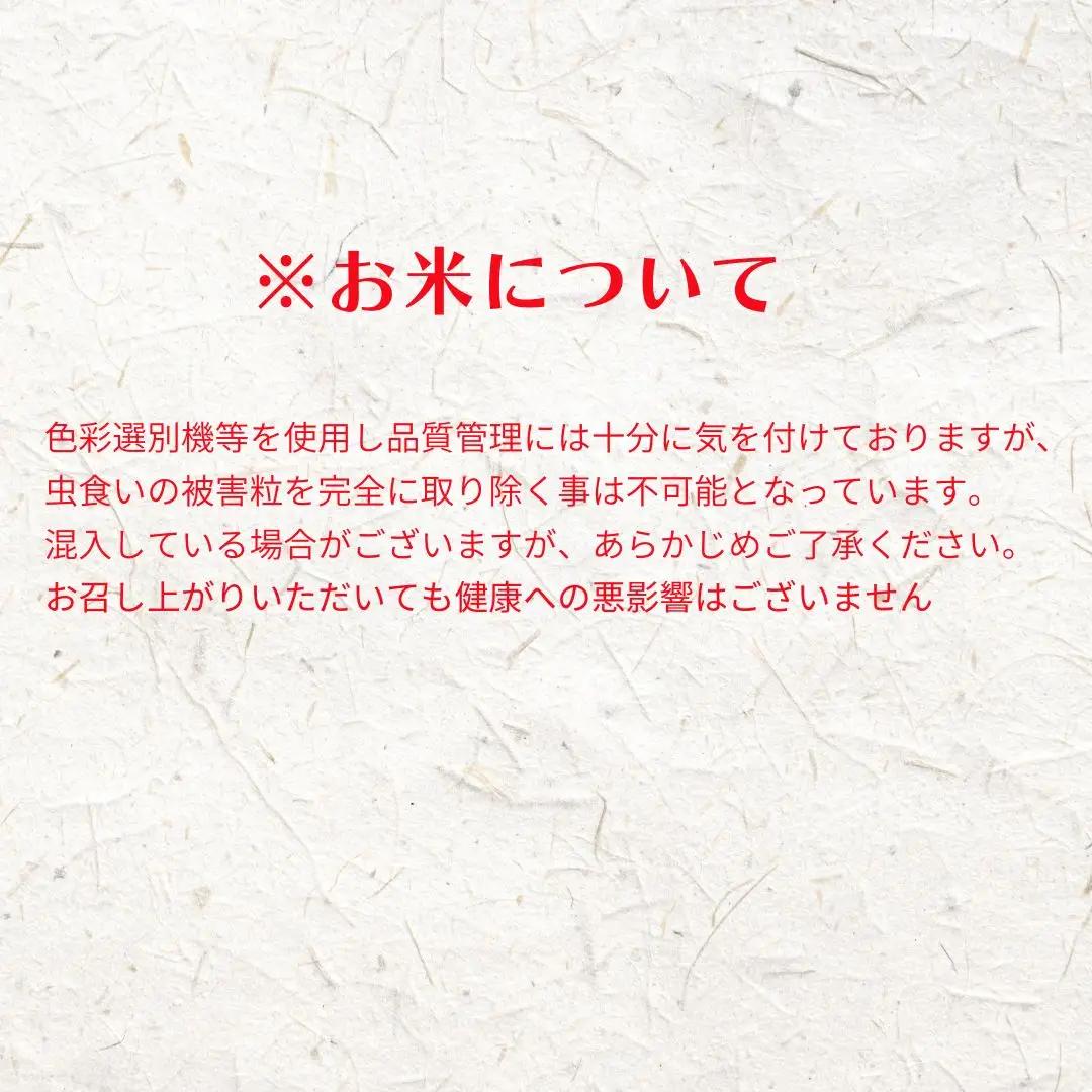 【令和8年度産】お米 きぬむすめ 5kg  精米
