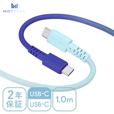 ふるさと納税 海老名市 グラデーションケーブル C to C 1m アクア(MOT-SCBCCG100-AQ)