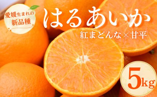 【先行受付】はるあいか 5kg 秀S～４Lサイズ | 紅まどんな × 甘平 みかん 愛媛みかん 愛媛ミカン 愛媛 みかん 愛媛県産みかん 蜜柑 ミカン あいか 愛果48号 柑橘 期間限定 季節限定 数量限定 国産 国産フルーツ 愛媛県 上島町