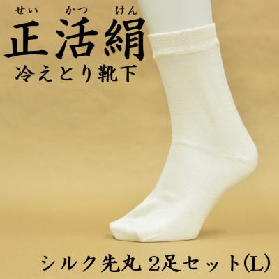ふるさと納税 羽島市 正活絹 冷えとり靴下 シルク先丸 2足セット(Lサイズ)