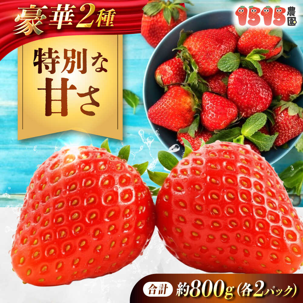 【ふるさと納税】苺 「もういっこ・紅ほっぺ」200g×4パックセット おすすめ 人気 送料無料 産地直送 新鮮 甘い 大粒 ブランドいちご 食べ比べ 詰め合わせ 贈り物 もういっこ 紅ほっぺ いちご セット ふるさと納税 広島県福山市/1515農園[BAGD001]
