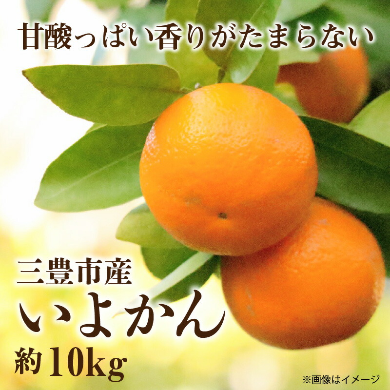 M02-0094_三豊市産いよかん 約10kg