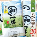 【ふるさと納税】【令和6年産】【希少品種】【白米】山形県産もがみ誉れ20kg